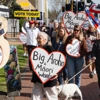 Māori wards hīkoi ki te pōti