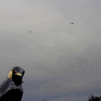 ©2024 Artem Vivendi