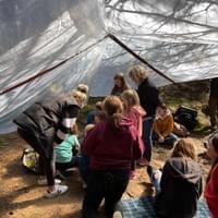 Under the shelters