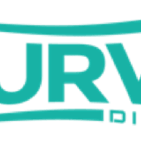 Curve Digital