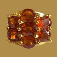 The Turtle Hessonite