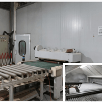 LED UV reciprocating spray lin