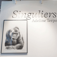 A. Terpo-Expo Singuliers 2025