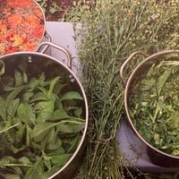 Selection of offerings