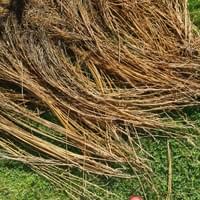 Organic linen straw