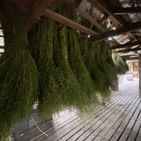 Organic linen straw 