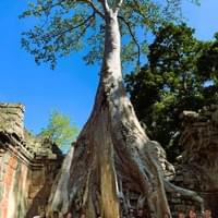 Ta Prohm Temple