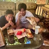 Don't Feed the Dog