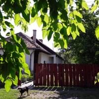 A ház az utcáról - Leselkével, a szomszéd kutyával