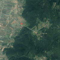 Köröskörül erdő