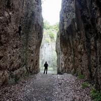 Megyer hegyi tengerszem