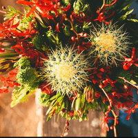 prickly pear bouquet
