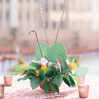 cotton, citrus and cacti 