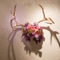 antler and floral wall piece