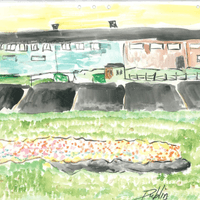 Dublin Neighbourhood