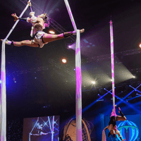 Award Gala Entertainment