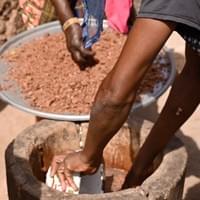Transfer of pounded shea nuts