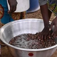 Washing raw shea nuts