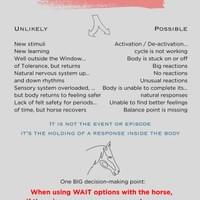 Horses: Is it Trauma?
