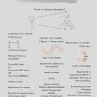 Help horse through activation