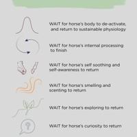 Wait Options and horses