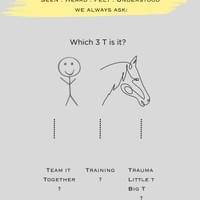 3T's Intro