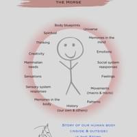 Human Body Story