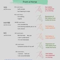 3 T's Yes Maybe No from Horse