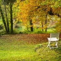Centre Assise (Cergy Pontoise)