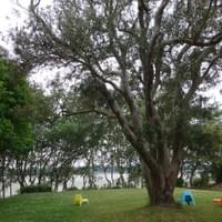 Abbaye Saint-Jacut-de-la-mer