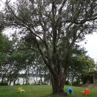 mai 2022 - Inter-spirituel