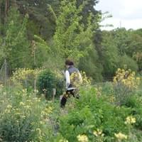 Des temps de réflexion individuelle