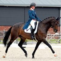 Dressage