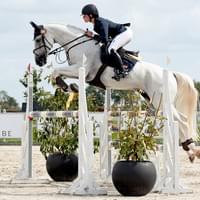Show jumping