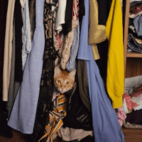 I promise he is not.