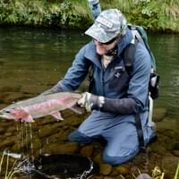 Taupo fly fishing www.taupoflyfishingguide.com