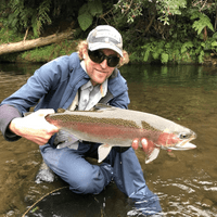 Guided fly fishing Taupo www.taupoflyfishingguide.com