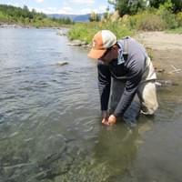 Tongariro, Taupo fly fishing November 2018