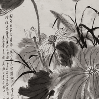 謝遠新水墨荷花賞析