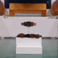 In My own Gaze Install View