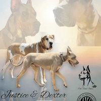 Justice & Dexter