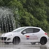 Team Bulding Swift circuit Peugeot Nivelles