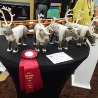 "Nomads of the North"