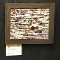 "Gator on a Rainy Sunday Morn"