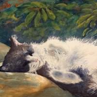 "Reflect, Renew" 2018