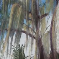 "Spanish Moss"