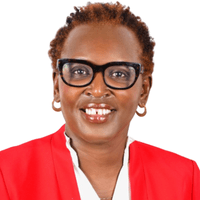 Ambassador Akinye