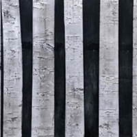 Aspen Light                               ( Available )