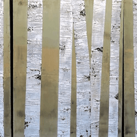 Commission "Aspen's First Stand"