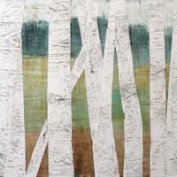 Beaverhead Aspen Glow